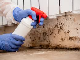 Trusted Statesville, NC Mold Prevention & Removal  Experts